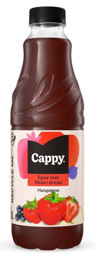 CAPPY EPER 1L 2023