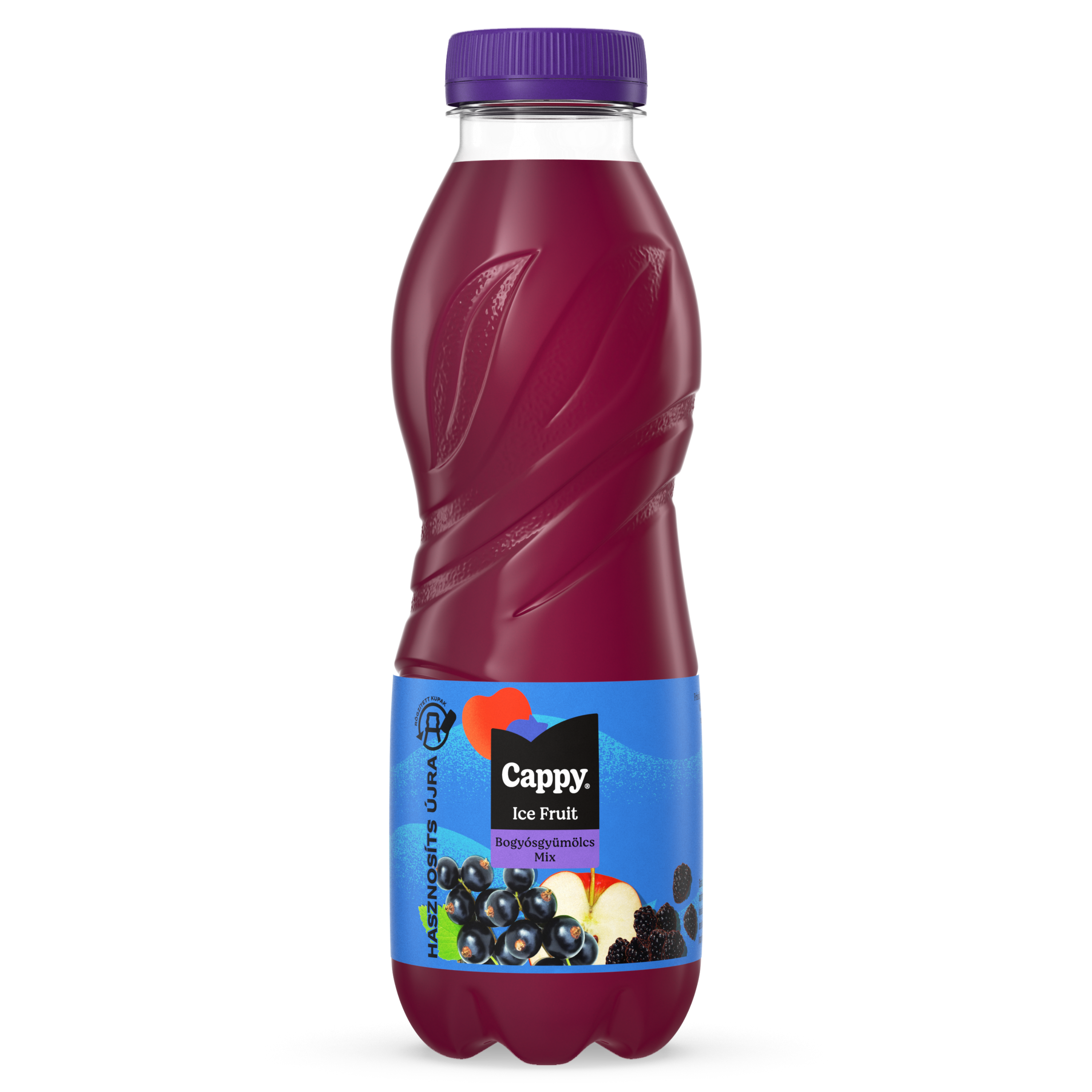 0.5L Cappy Ice Fruit Berry mix_dry_closed