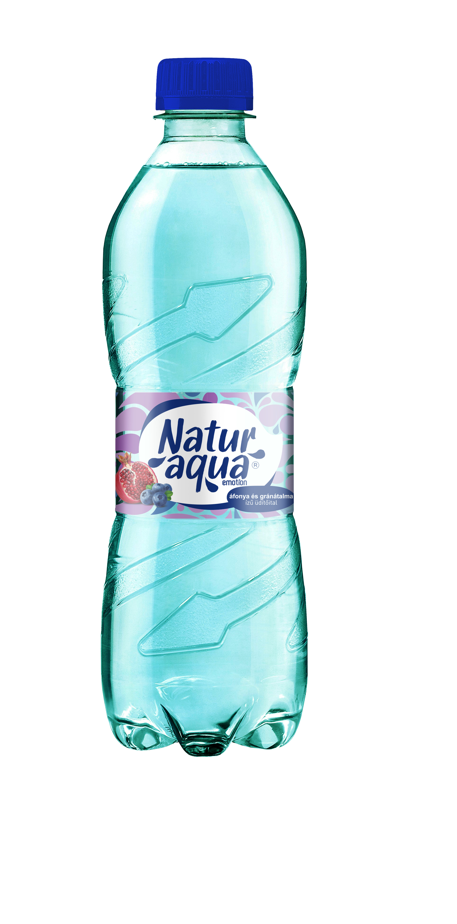 0.5L NaturAqua Blueberry-Pomegranate_dry_closed