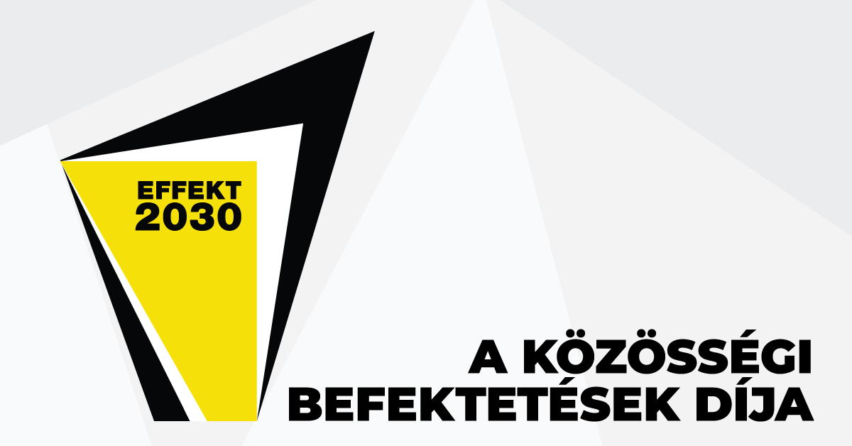 effekt2030_logo
