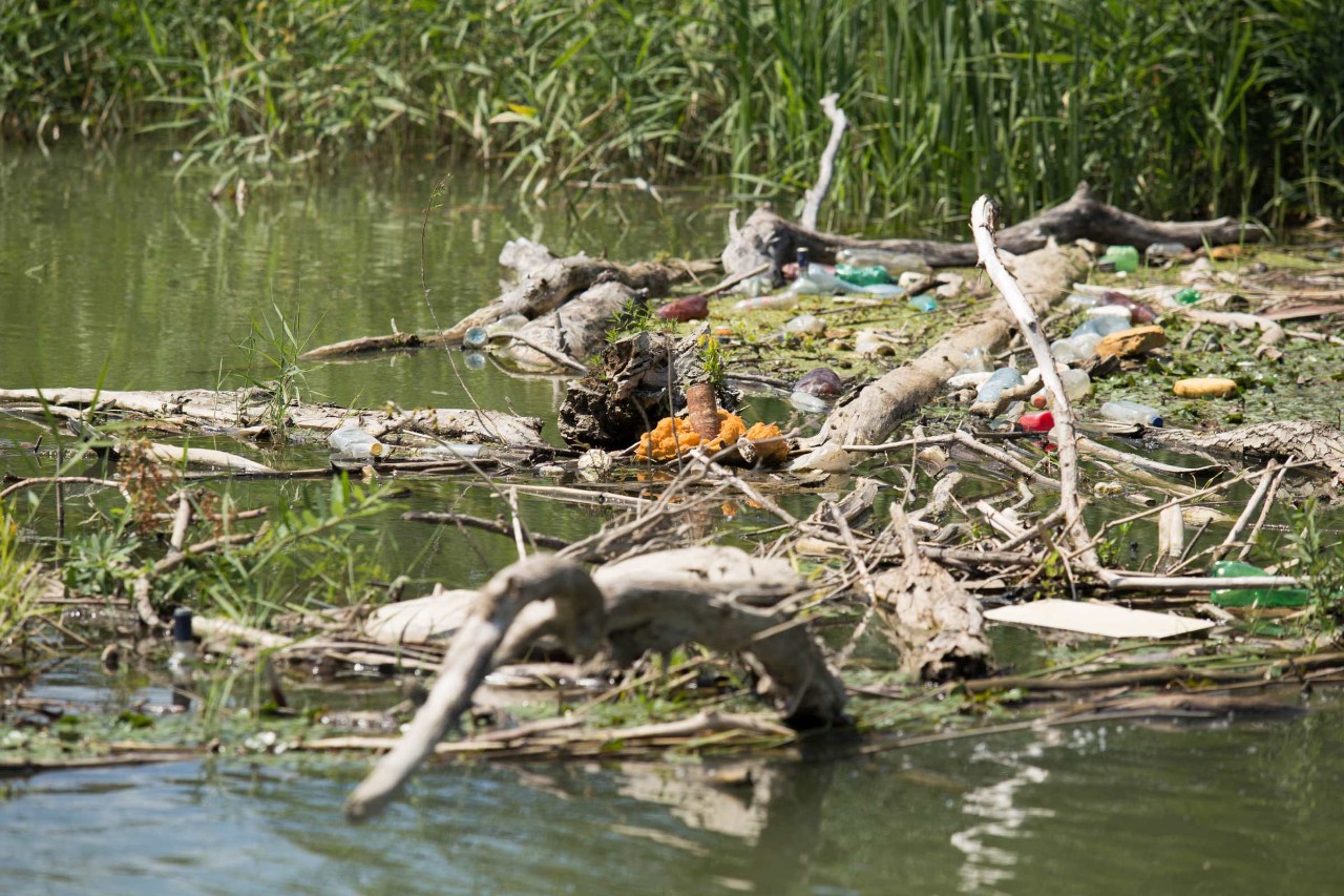 Hulladékmentes Tisza-folyo2_v3