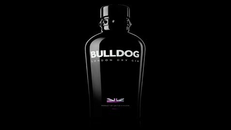 bulldog_gin_477x269px