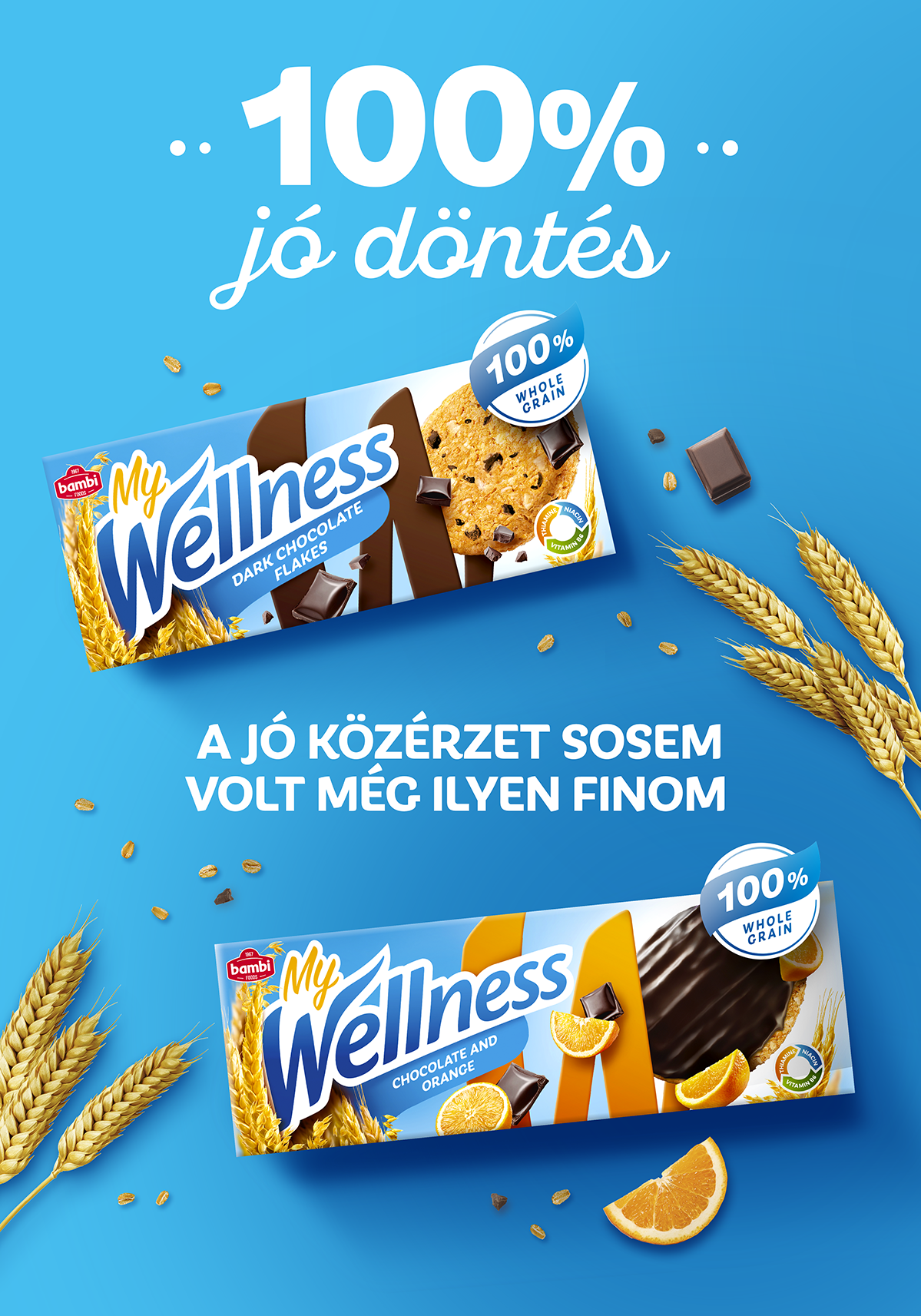 WLNS_Madjarska KV